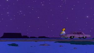 Les Simpson Saison 7 Episode 8