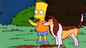 Les Simpson Saison 8 Episode 20