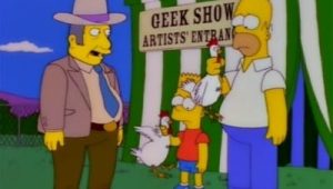 Les Simpson Saison 9 Episode 12