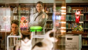 Limitless Saison 1 Episode 13