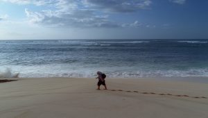LOST Saison 1 Episode 18