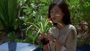 LOST Saison 1 Episode 6