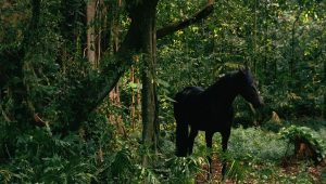 LOST Saison 2 Episode 9