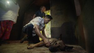 Magnum Saison 3 Episode 12