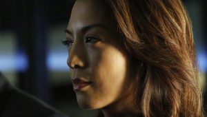 Marvel's Agents of S.H.I.E.L.D. Saison 1 Episode 16