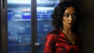 Marvel's Agents of S.H.I.E.L.D. Saison 1 Episode 18