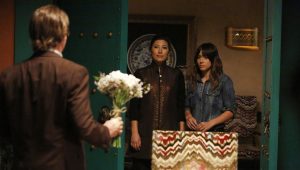 Marvel's Agents of S.H.I.E.L.D. Saison 2 Episode 17