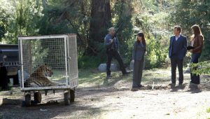 Mentalist Saison 4 Episode 18