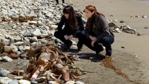 Mentalist Saison 4 Episode 5