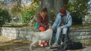 Merci et au suivant Saison 3 Episode 6
