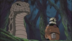 Naruto Saison 1 Episode 29