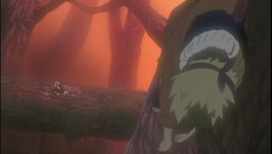 Naruto Saison 1 Episode 30