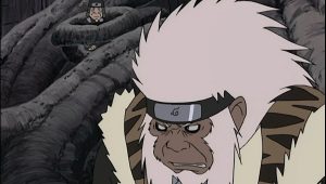 Naruto Saison 2 Episode 71