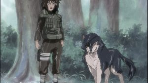Naruto Saison 3 Episode 121