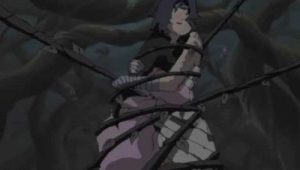 Naruto Saison 4 Episode 205