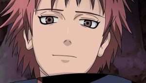 Naruto Shippuden Saison 1 Episode 22