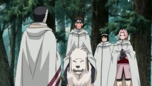 Saison 10