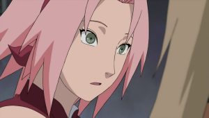 Saison 12