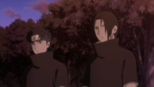 Saison 16