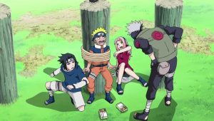 Saison 16