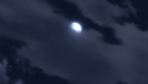 Naruto Shippuden Saison 20 Episode 492
