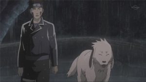 Saison 5