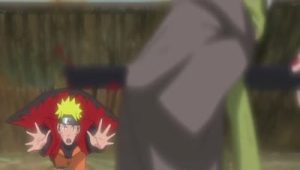 Naruto Shippuden Saison 8 Episode 14