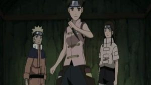 Naruto Shippuden Saison 9 Episode 9