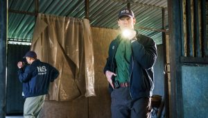 NCIS : Origins Saison 2 Episode 15