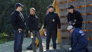 NCIS Saison 10 Episode 15