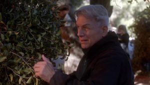 NCIS Saison 11 Episode 12