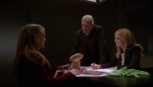 NCIS Saison 11 Episode 15