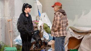 NCIS Saison 11 Episode 22
