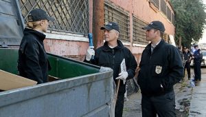 NCIS Saison 12 Episode 17