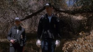 NCIS Saison 13 Episode 6