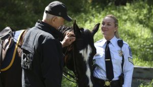 NCIS Saison 14 Episode 22