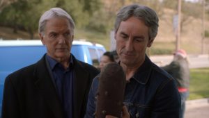 NCIS Saison 15 Episode 17