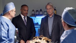 NCIS Saison 15 Episode 8