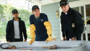 NCIS Saison 16 Episode 2