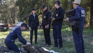 NCIS Saison 16 Episode 8