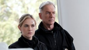 NCIS Saison 17 Episode 14