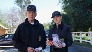 NCIS Saison 17 Episode 17