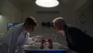NCIS Saison 17 Episode 4