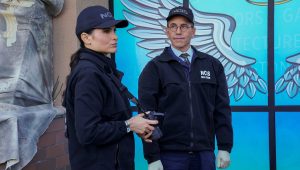 NCIS Saison 19 Episode 17