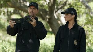 NCIS Saison 19 Episode 21