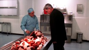 NCIS Saison 2 Episode 12