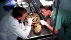 NCIS Saison 2 Episode 21