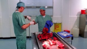 NCIS Saison 2 Episode 3