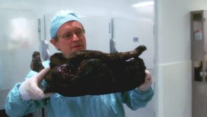 NCIS Saison 2 Episode 7