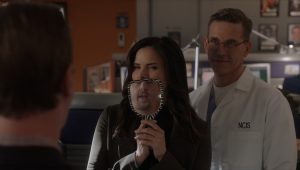 NCIS Saison 20 Episode 12